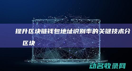 提升区块链钱包地址识别率的关键技术分析 (区块链:要提升什么?该规避什么?)