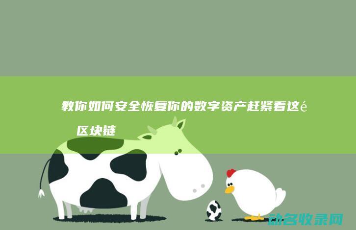 教你如何安全恢复你的数字资产 赶紧看这里 区块链钱包丢失 (教你如何安全乘坐飞机英语)