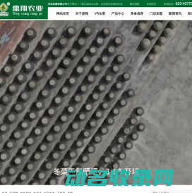 重庆市鼎翔农业发展有限公司