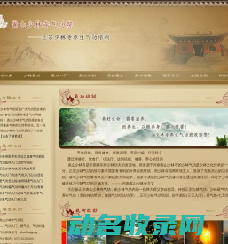 嵩山少林寺气功院